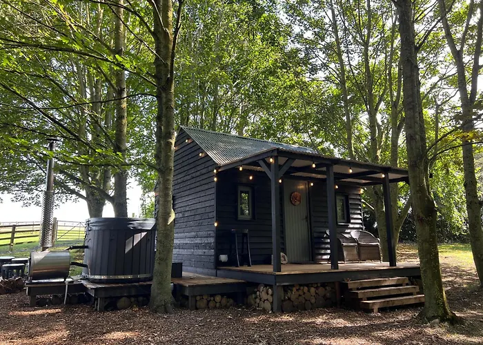 Luxury Woodland Lodge