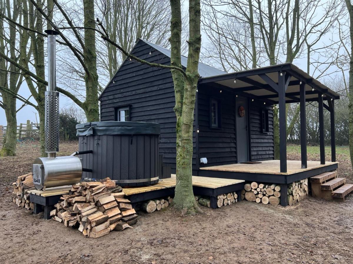 Campsite Luxury Woodland