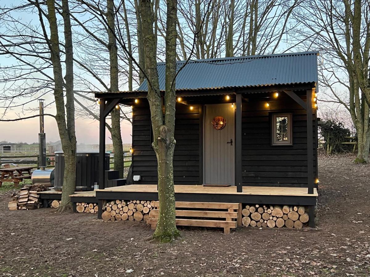 Luxury Woodland *